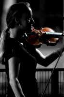 the Violinist