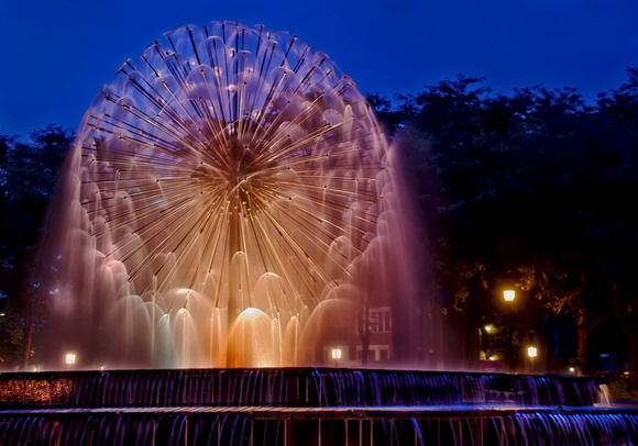 Dandelion Fountain