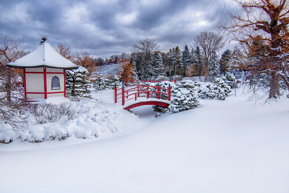 Japanese Garden